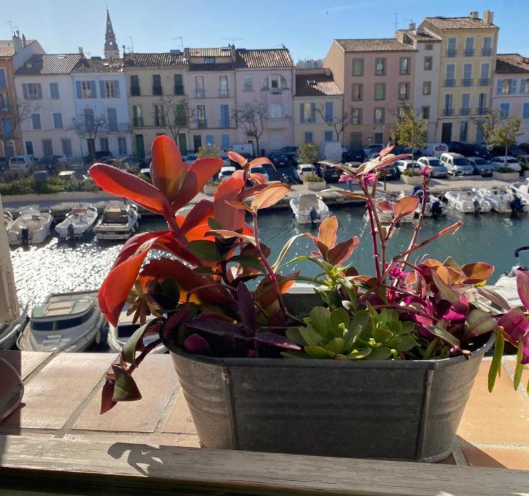 Photo of Others in Martigues