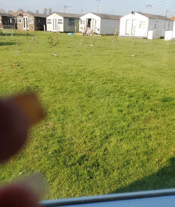 Photo of Others in Warden