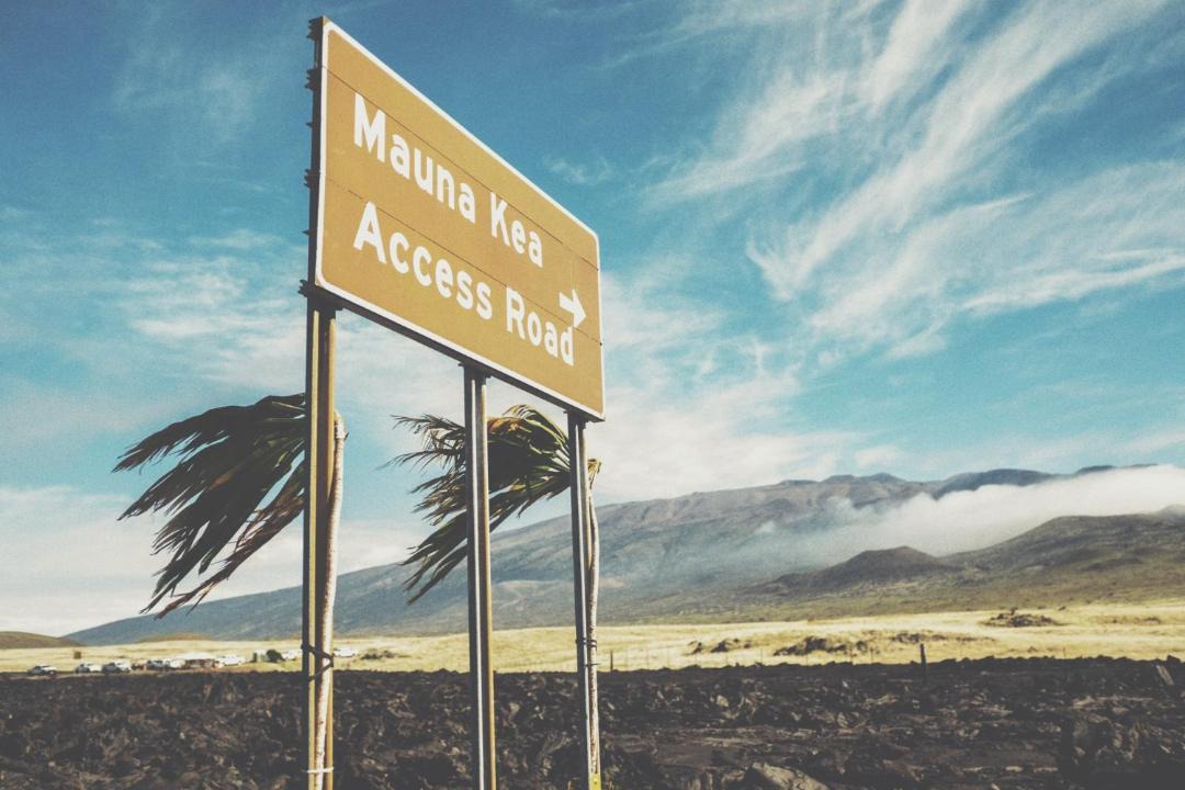 Photo of Others in Honomu