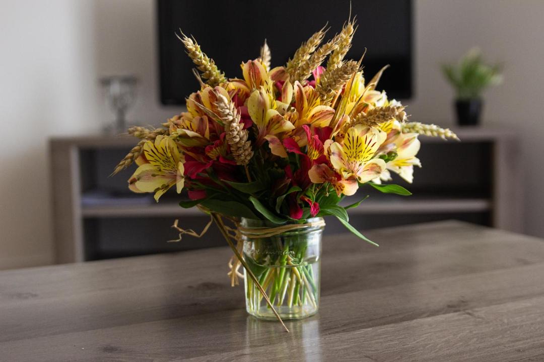 Photo of Others in Saint-Fort