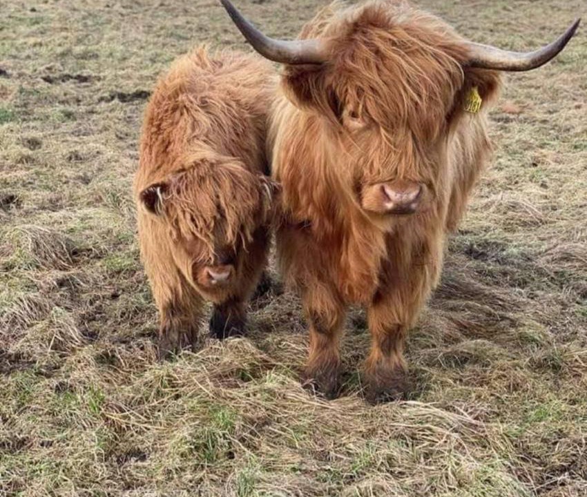 Photo of Others in Keith