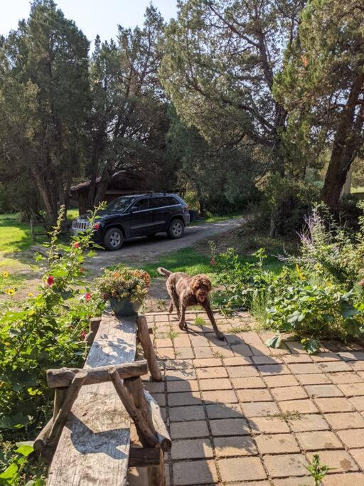 Photo of Others in Livingston