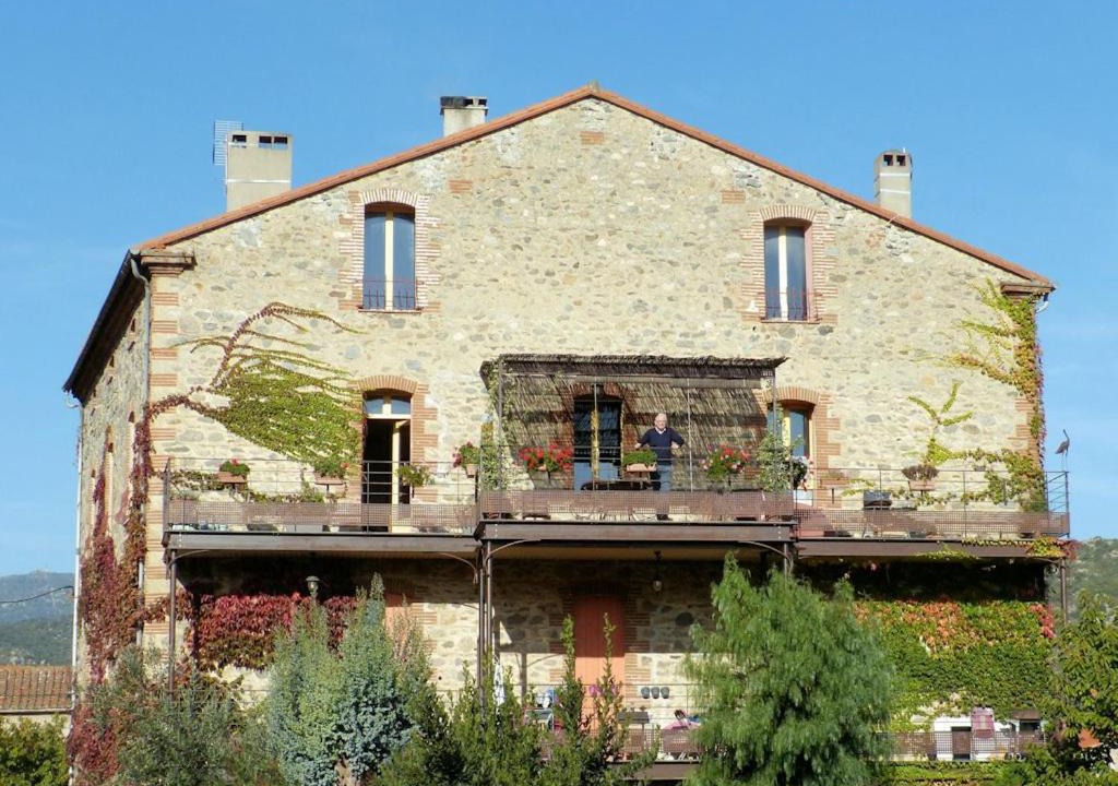 Photo of Others in Vinca