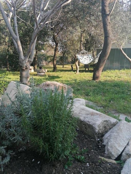 Photo of Others in Beaucaire