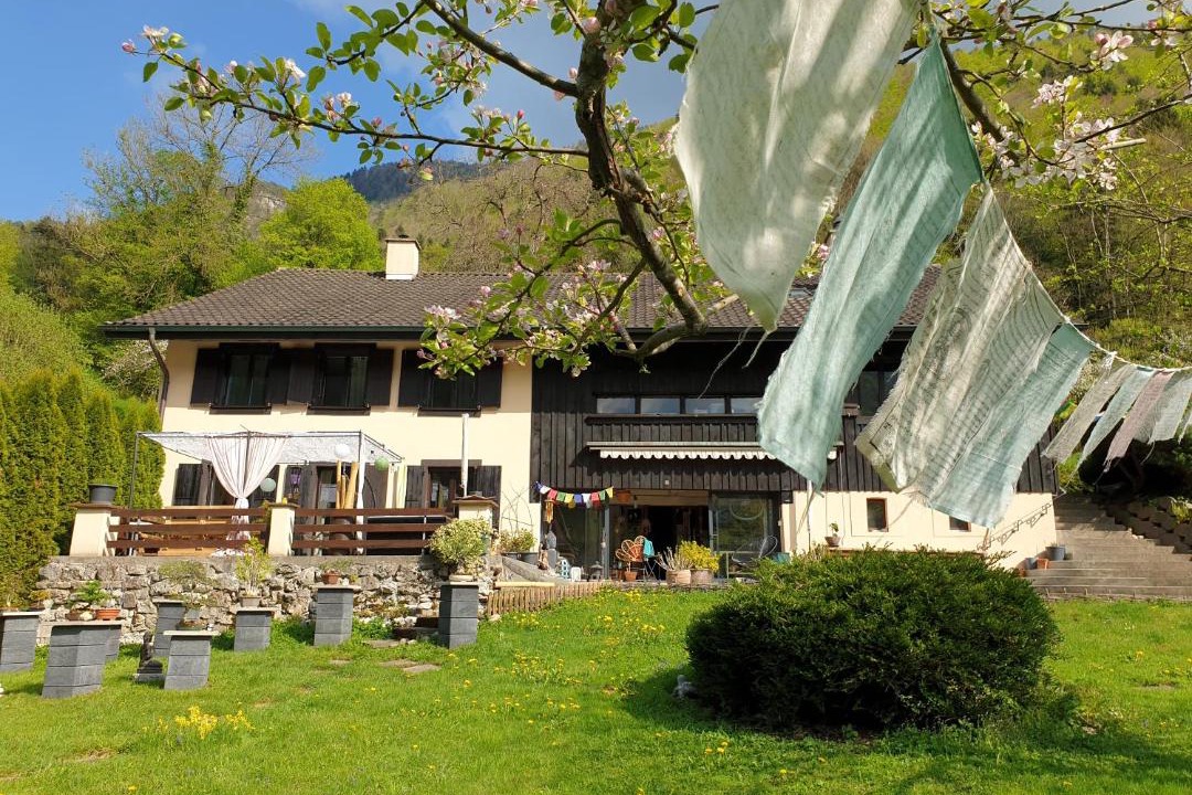 Photo of Buildings in Roches