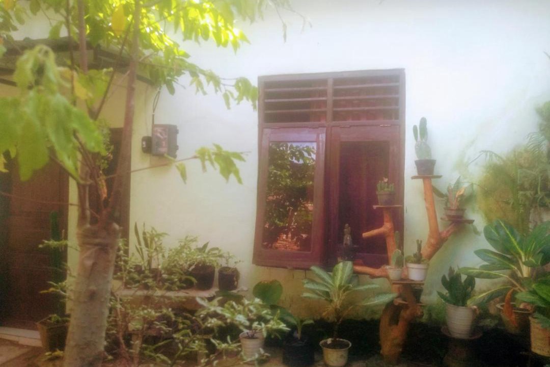 Photo of Others in Gerung