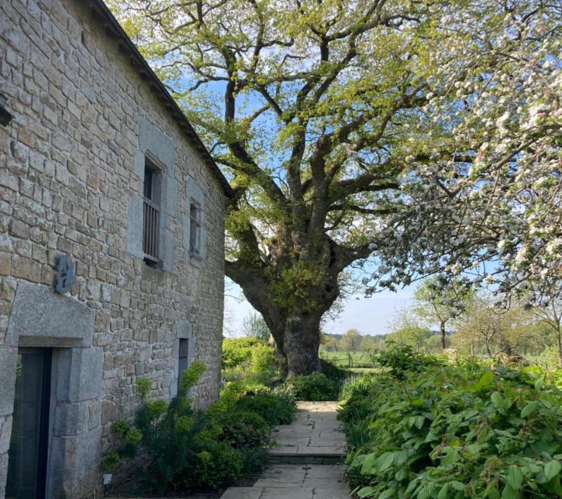 Photo of Others in Plescop