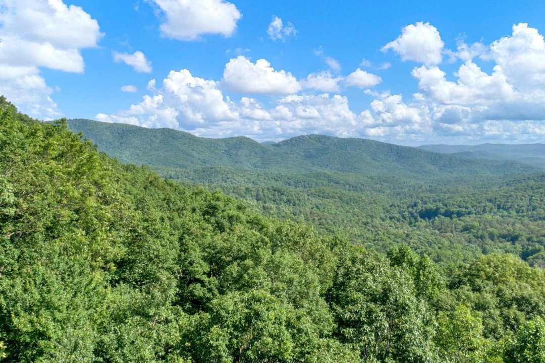Photo of Outdoor in Blue Ridge