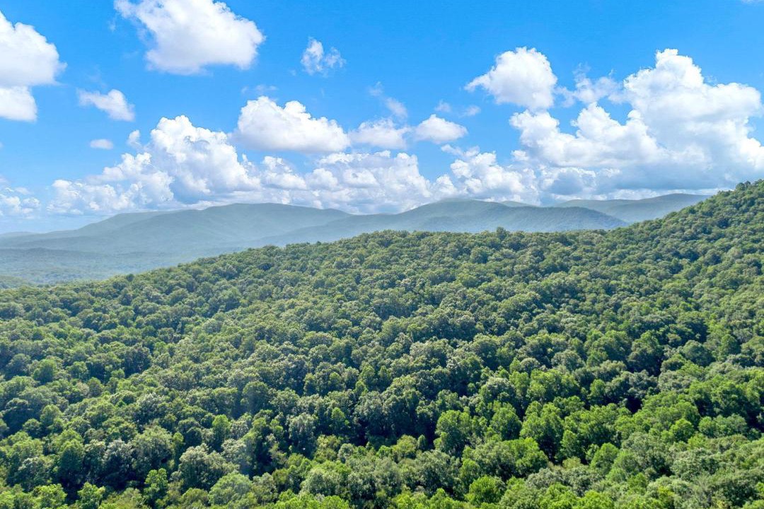 Photo of Outdoor in Blue Ridge