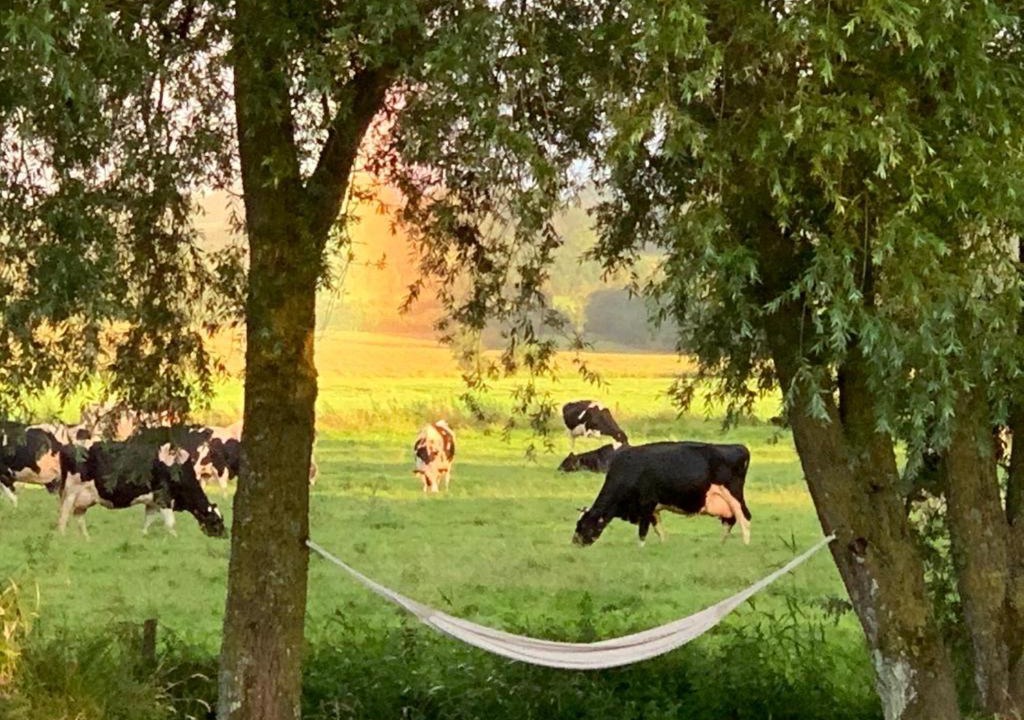 Photo of Others in Audouville-la-Hubert