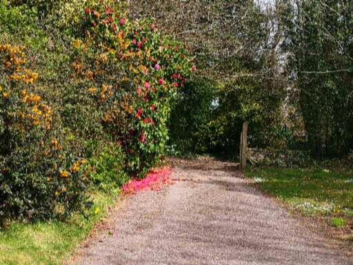 Photo of Outdoor in Ruan High Lanes