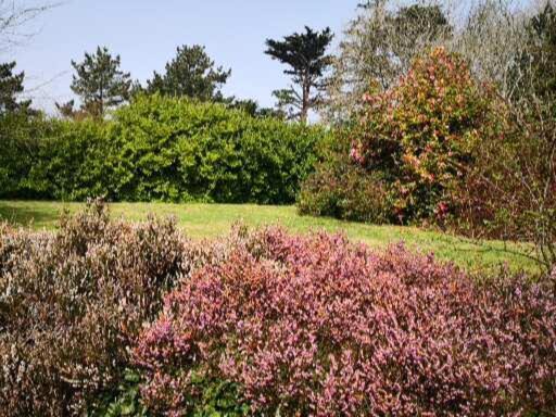 Photo of Outdoor in Ruan High Lanes