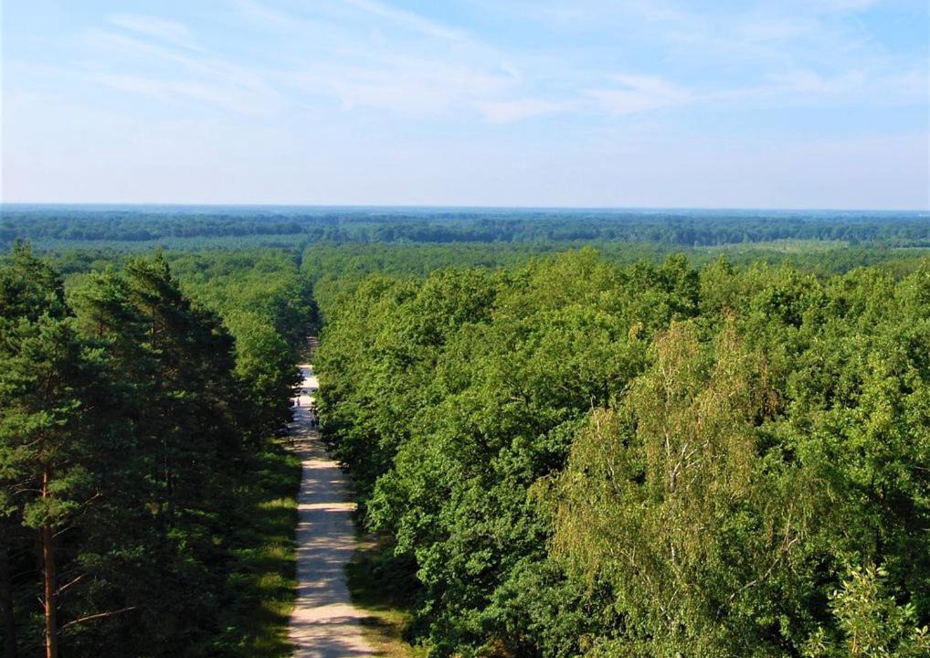 Photo of Others in Chilleurs-aux-Bois