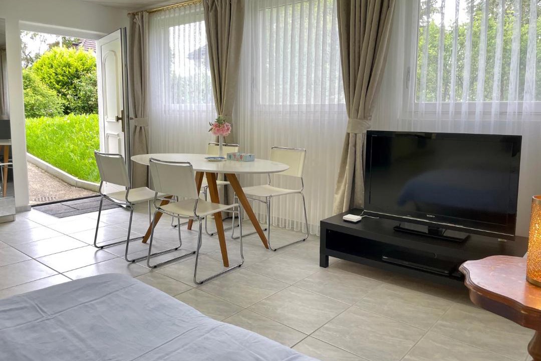 Photo of Livingroom in Horgen District