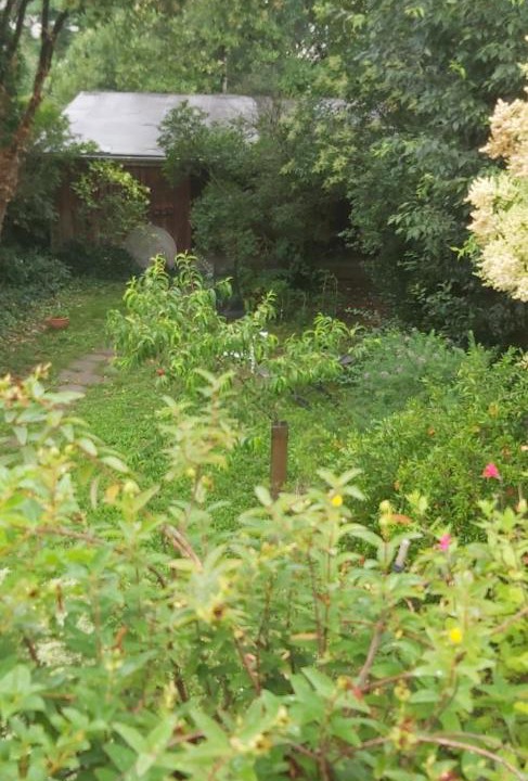 Photo of Others in Grand Parc-Paul Doumer