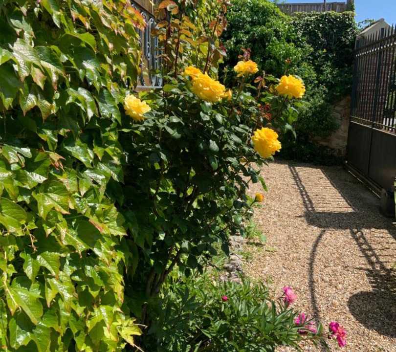 Photo of Others in Giverny