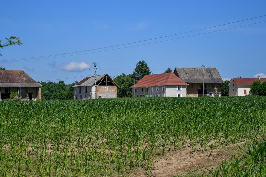 Photo of Buildings in Pressins