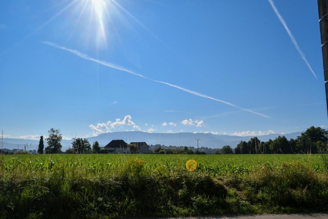 Photo of Others in Pressins