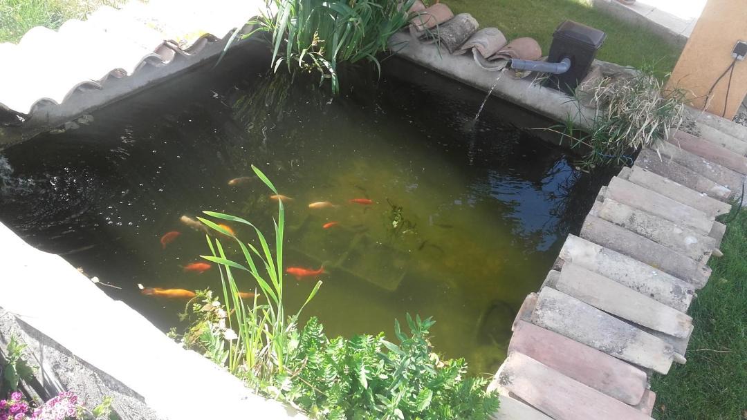 Photo of Others in Chabeuil