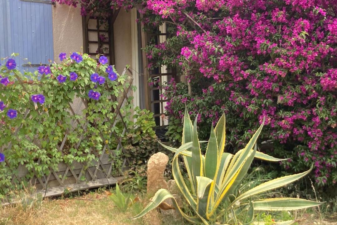 Photo of Others in Monacia-d'Aullene