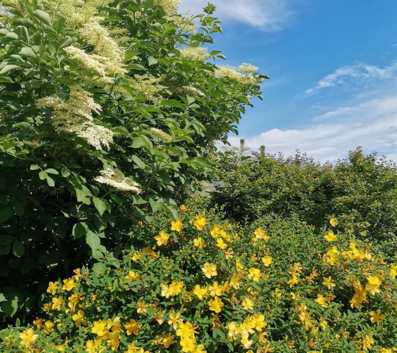 Photo of Outdoor in Alando