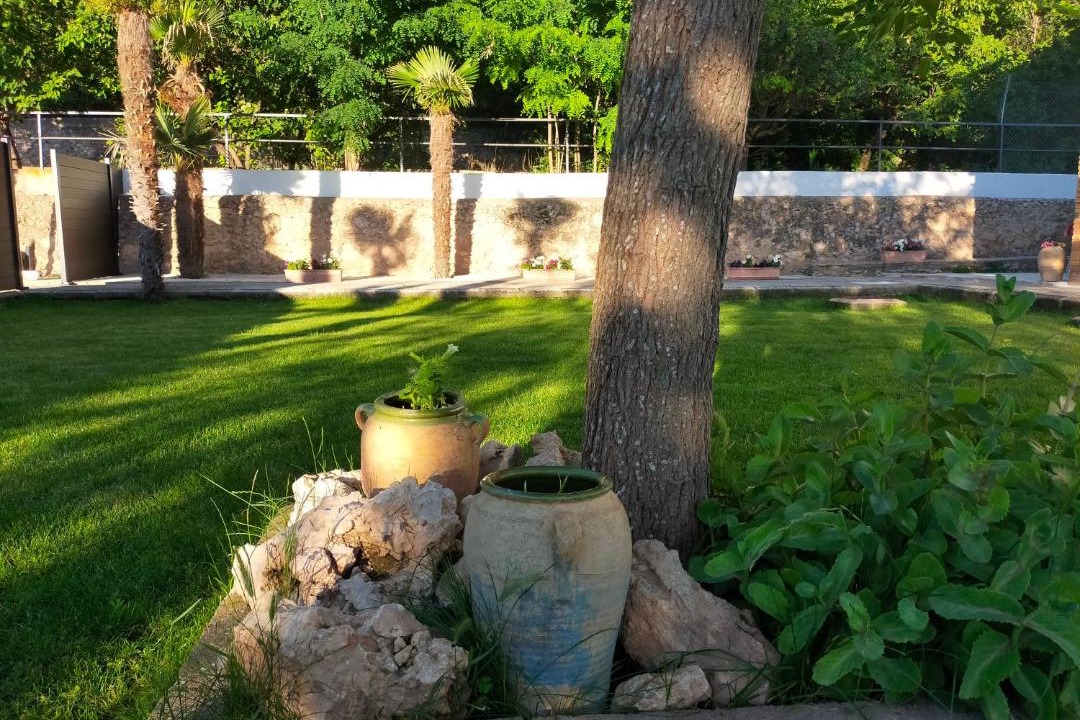 Photo of Others in Teruel