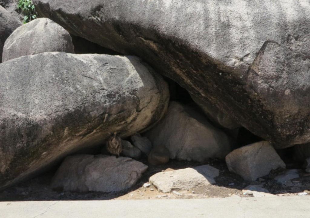 Photo of Others in Arcadia