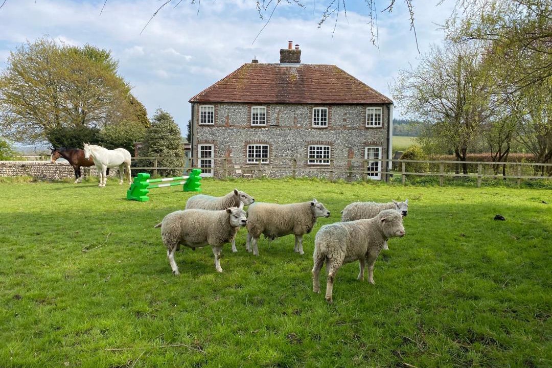 Photo of Others in Charlton