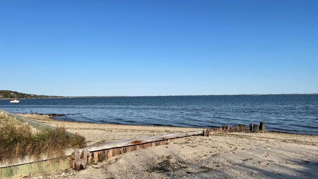 Photo of Others in Hampton Bays