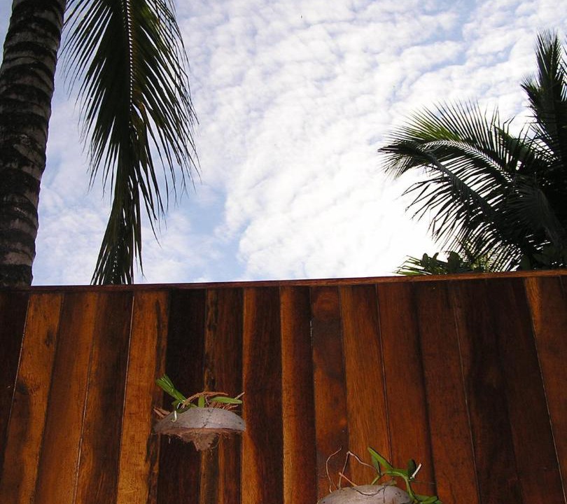 Photo of Others in Kudat