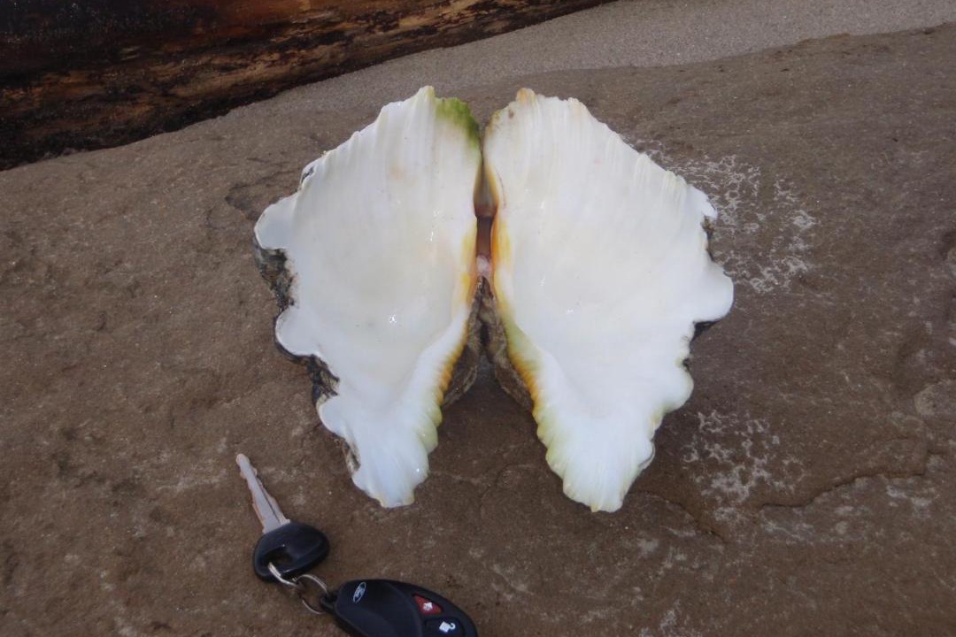 Photo of Others in Kudat