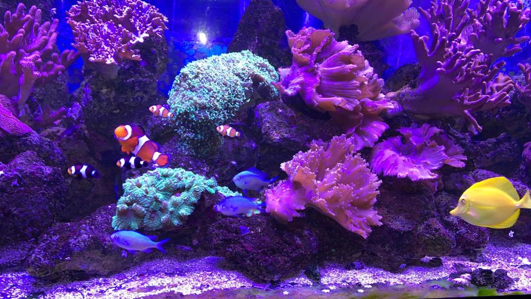 Photo of Others in Issoudun