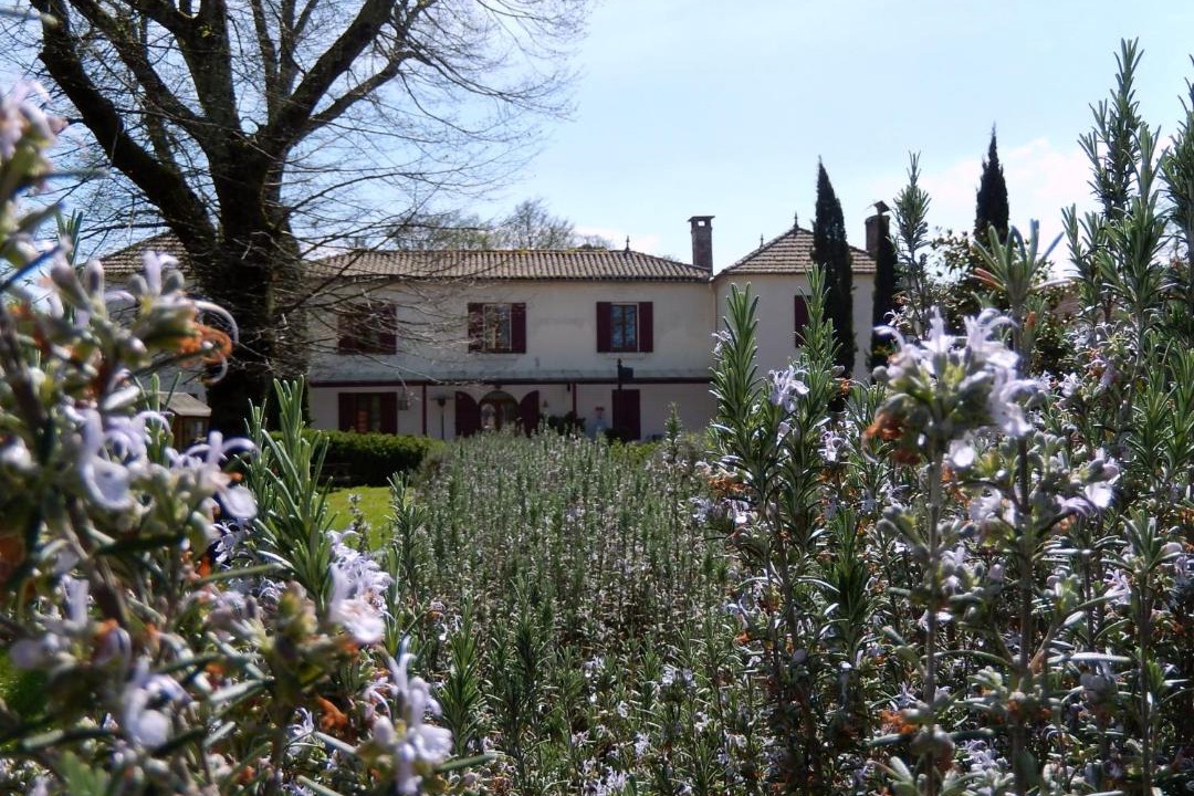 Photo of Others in Lucmau