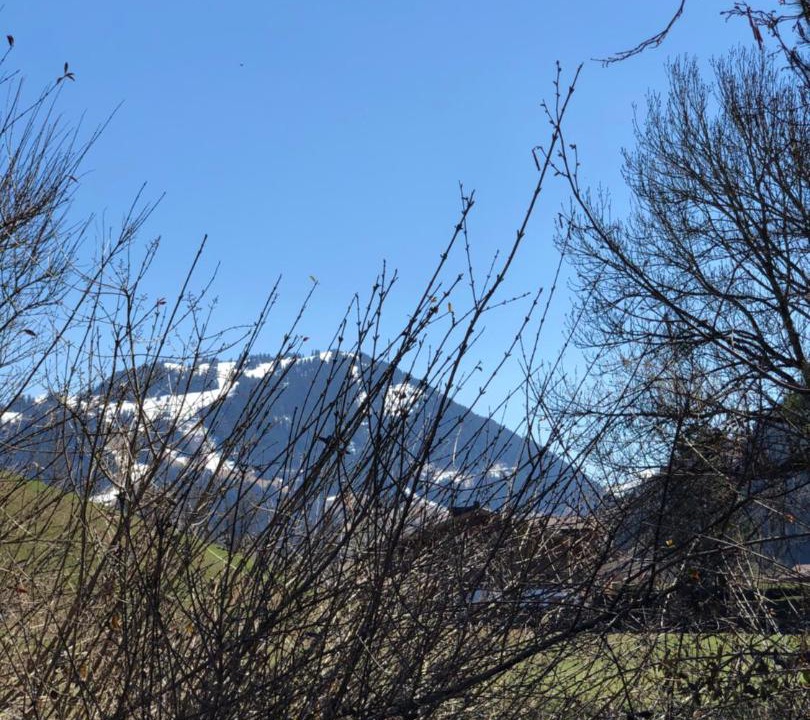 Photo of Outdoor in Saanen