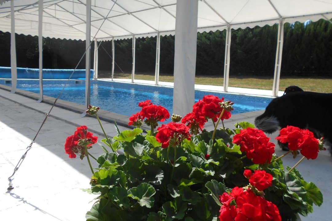 Photo of Others in Mery-sur-Cher