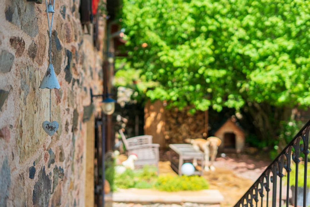 Photo of Others in Cenves