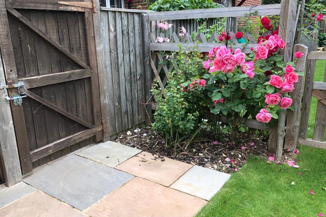 Photo of Others in Chute Forest