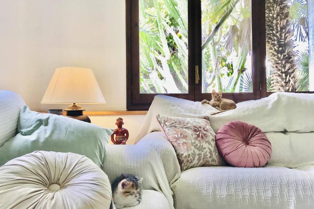 Photo of Livingroom in El Roc de Sant Gaieta