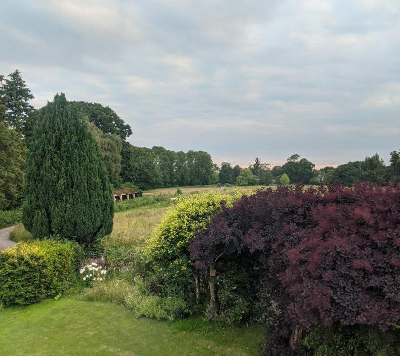 Photo of Others in Yeovil