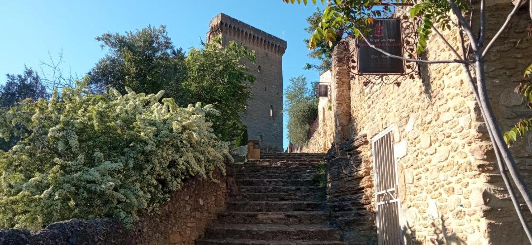 Photo of Others in Chateauneuf-du-Pape