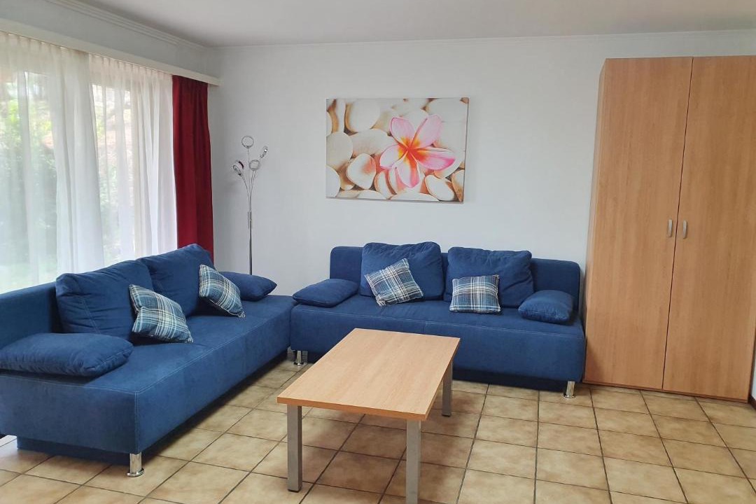 Photo of Livingroom in Muralto