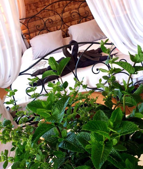 Photo of Others in Los Masos