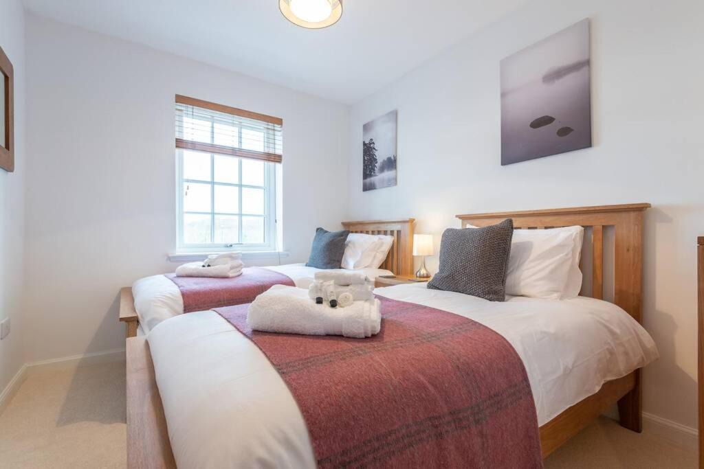 Photo of Others in Balloch