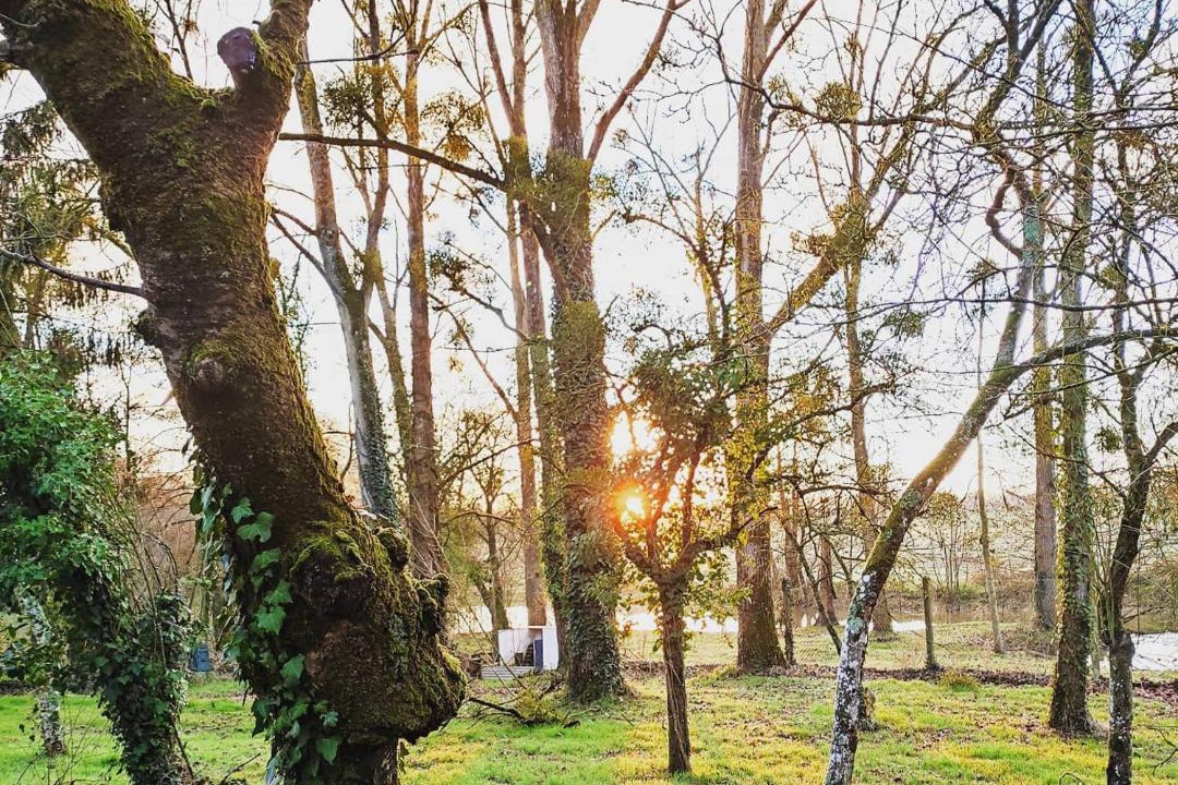 Photo of Others in Forges-la-Foret