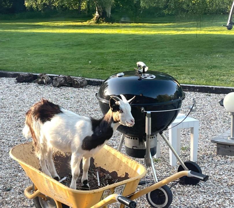 Photo of Others in Saint-Gatien-des-Bois