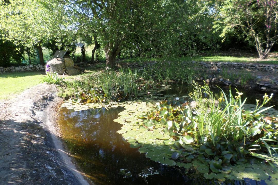 Photo of Outdoor in Corpe