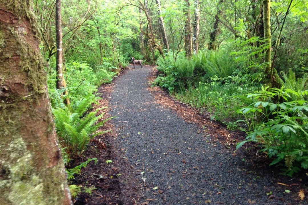 Photo of Others in Bay City