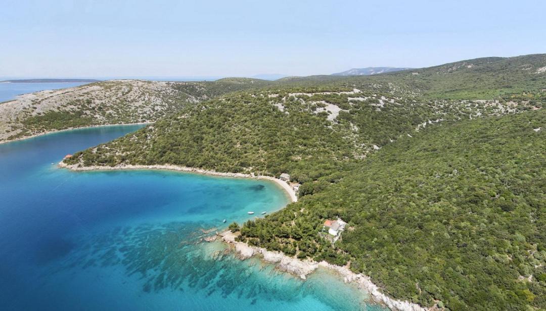Photo of Others in Ustrine