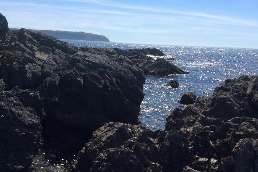 Photo of Others in Titahi Bay