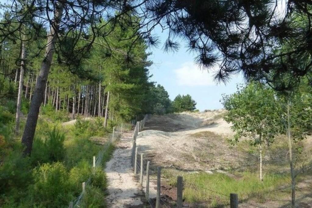Photo of Others in Berck-sur-Mer
